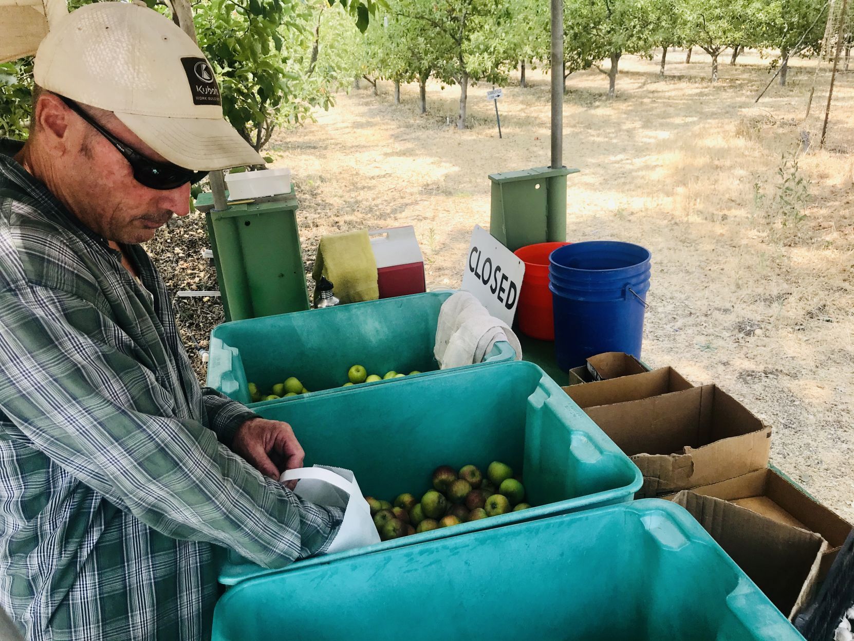 090120 Dittmer's Apple Orchard1